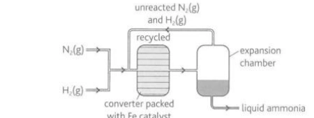 <p>Describe this image</p>