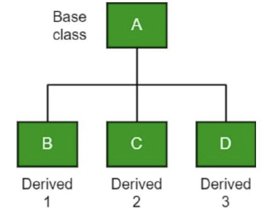 <p>one class serves as a superclass for more than one subclass.</p>