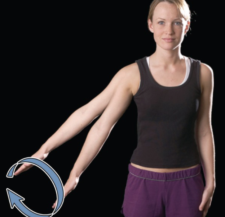 <p>circumduction</p>