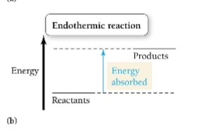 chemical reactions that absorb energy