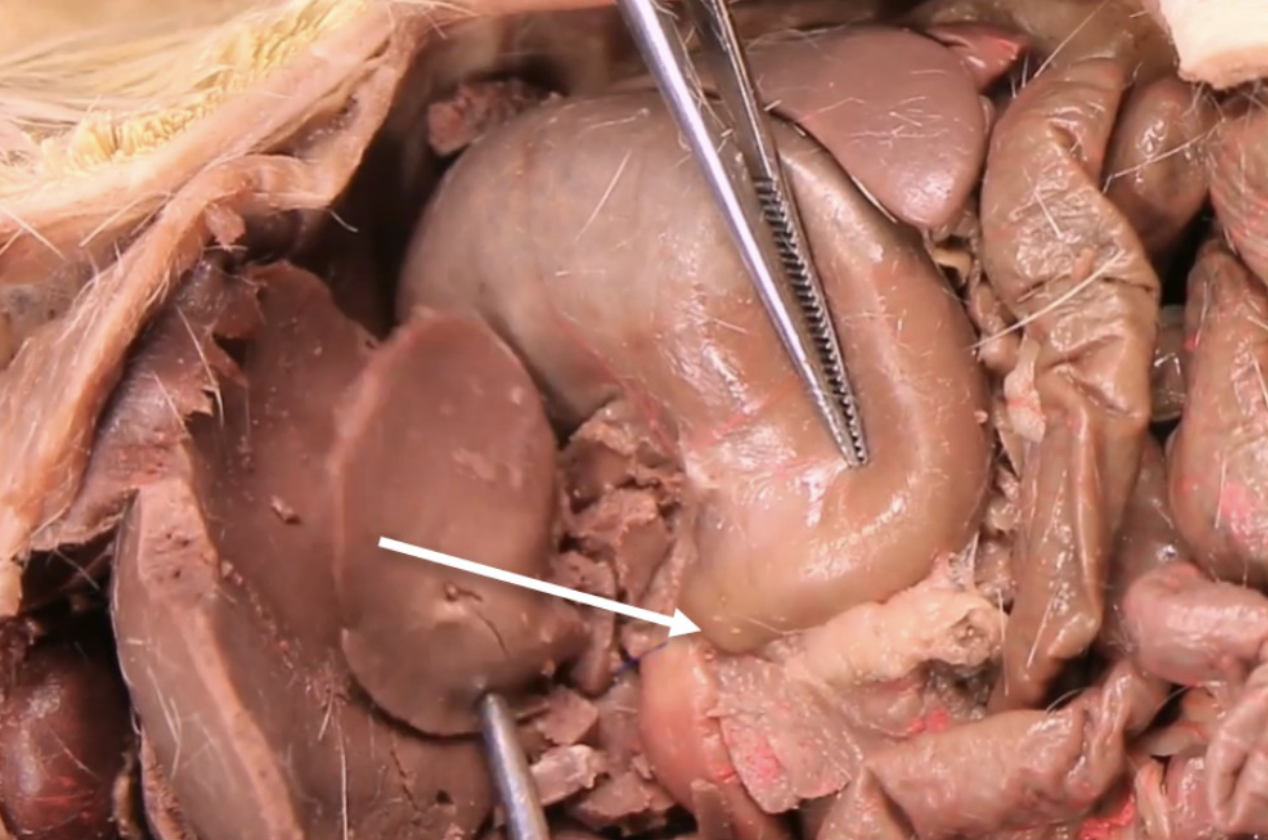 <p>What is this?</p>