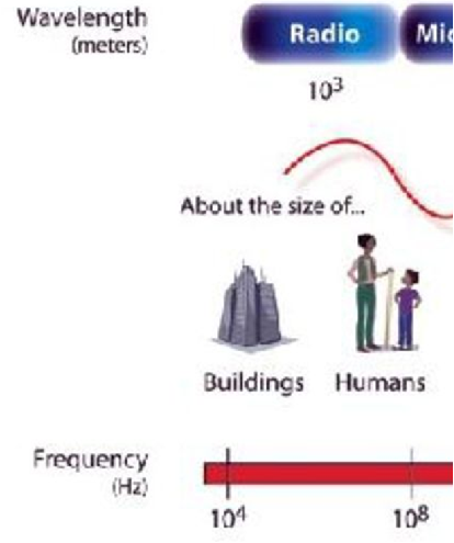 _______________ have the longest wavelengths in the electromagnetic spectrum. They range from the length of a football to larger than our planet. 