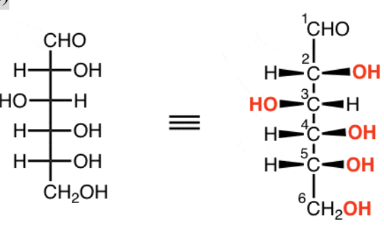<p><span style="background-color: transparent;"><span>Vertical lines go to back of page (dashes); horizontal lines come out of the page (wedges)</span></span></p>