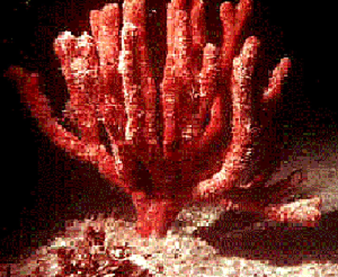 <p>A.K.A. Sponges; asymmetrical, lack true tissue organization, do have cell recognition; filter feeders that are made of bodies with many pores as adults; adults are stationary/sessile</p>