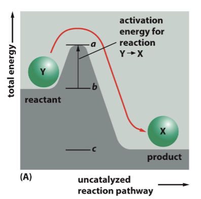 <p>Reactions require overcoming a __________ ________ before a reaction can proceed</p>