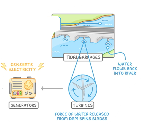 <ul><li><p>tidal barrages trap water from a high tide and when it is released it spins the blades of turbines which spins generators which generate electricity.</p></li><li><p> sometimes, electricity is generated by the flow passing through the undersea turbines.</p></li></ul><p></p>