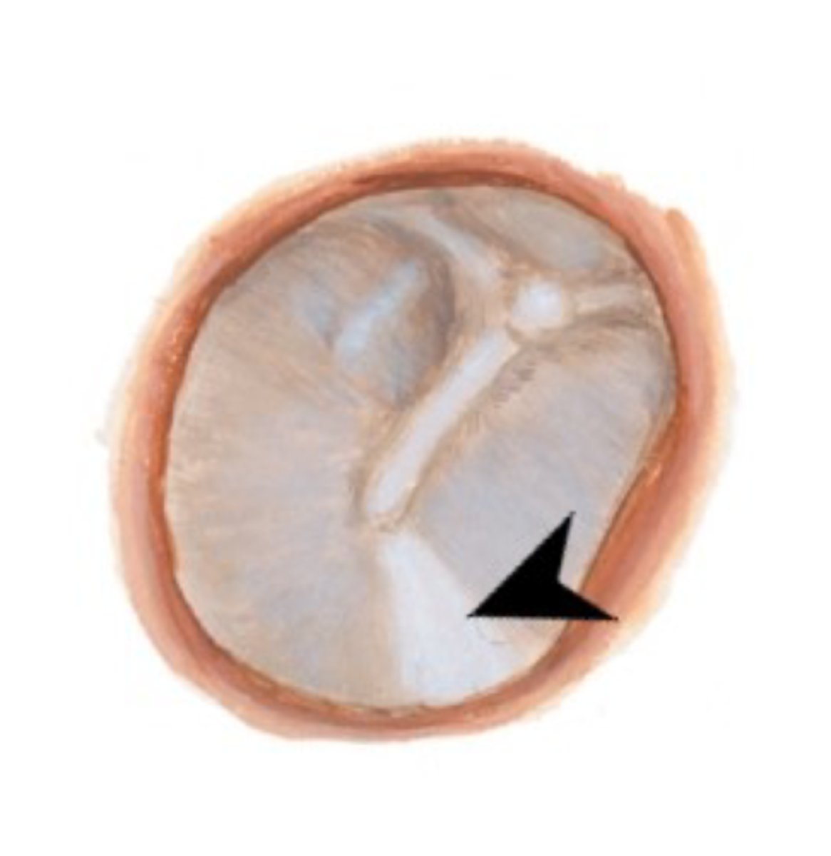 <p>What is this pointing to?</p>