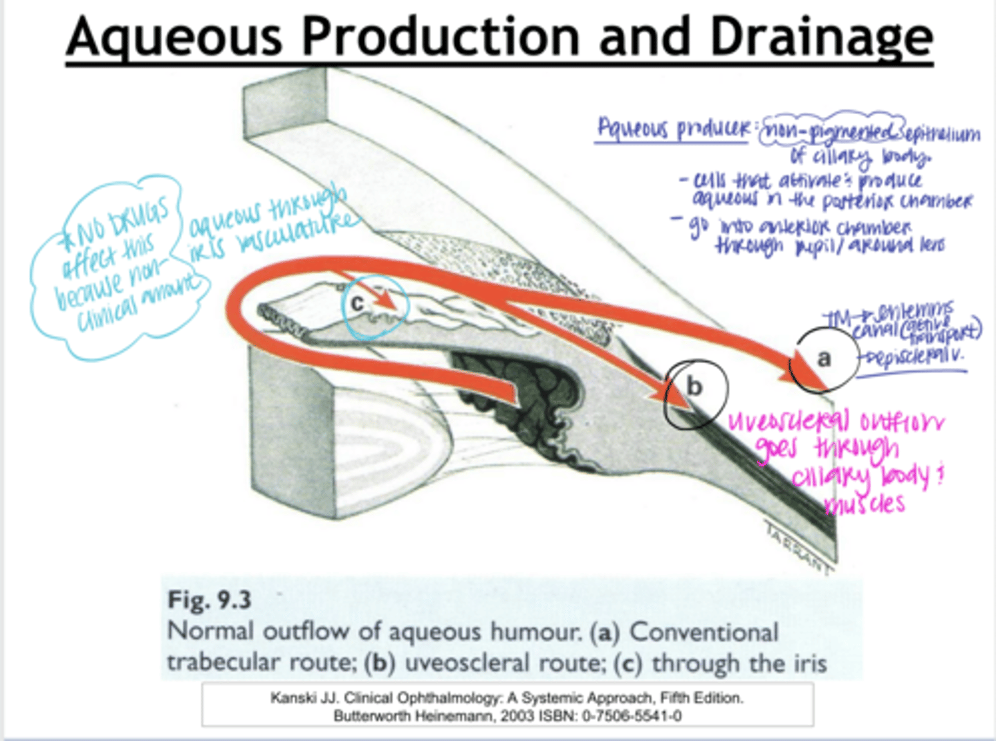 <p>Conventional aqueous outflow method</p>