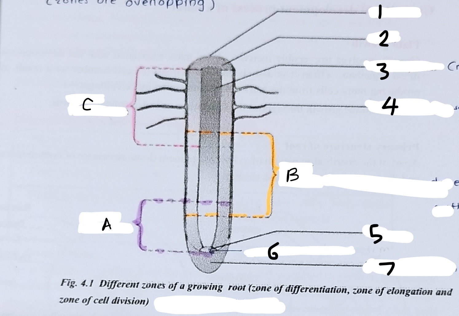 <p>Write what parts are labelled and what the overall diagram is</p>