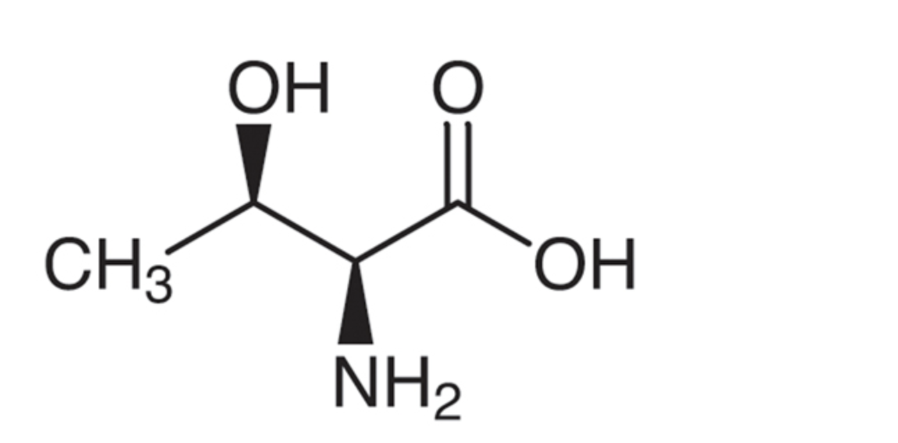 <p>Thr, T, polar neutral</p>