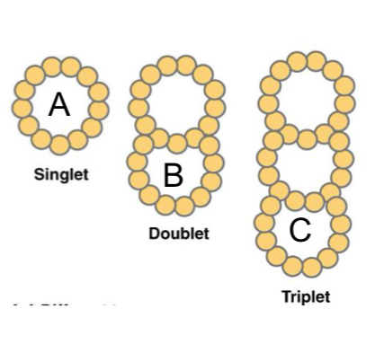 <p>NOT 13</p><ul><li><p>A (singlet) = 13</p></li><li><p>B/C = 10 or 11</p></li></ul><p></p>