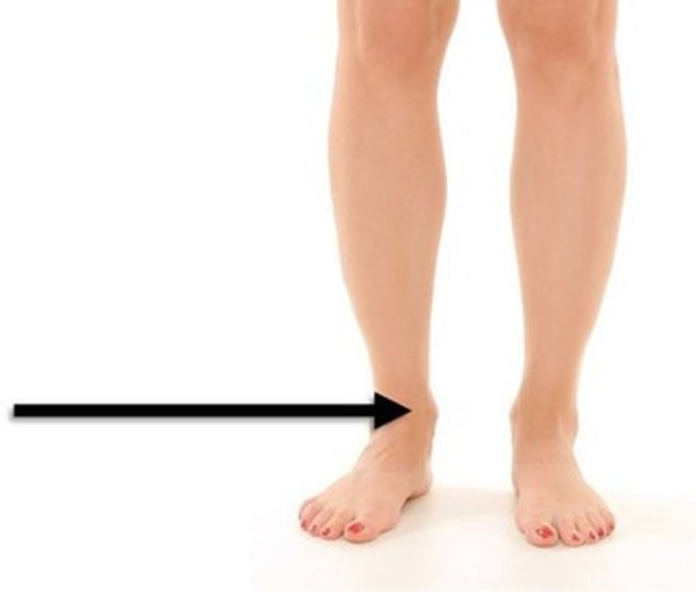 <p>Ankle region</p>