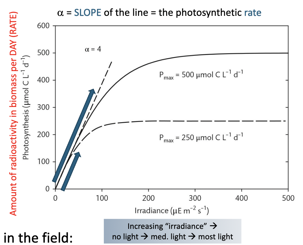 <p>The “P vs I curve”</p><p><span>Another way is to measure rates of O2 production in the</span><br><span>light and compare to dark-incubated bottles.</span></p>