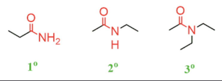 <ul><li><p>contain N and carbon chain </p></li><li><p>primary, secondary and tertiary </p></li></ul>