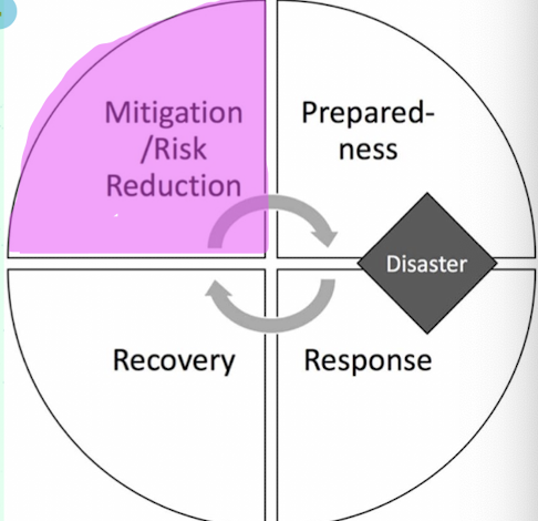 <ul><li><p>Mitigation</p></li></ul><p></p>