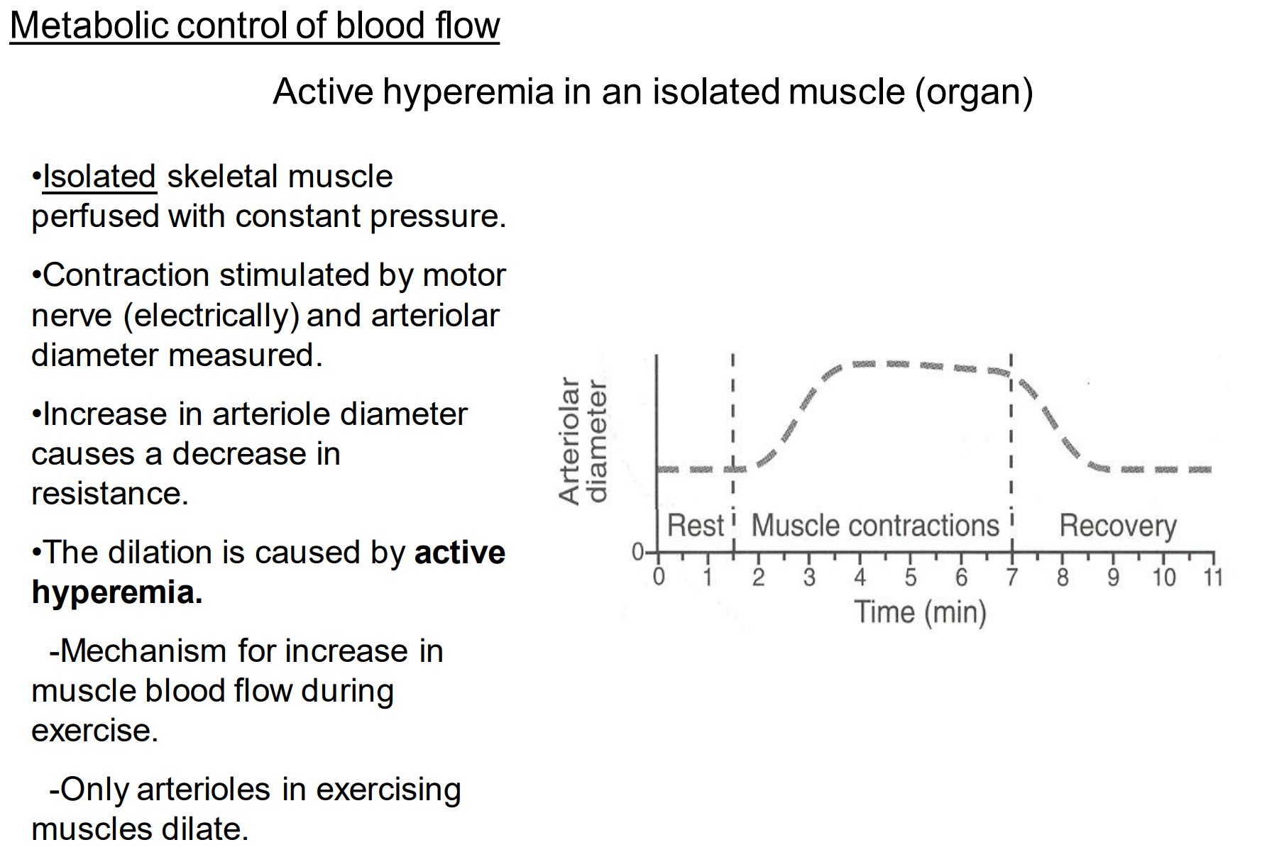 <p>increase</p><p>while the tissues are creating these metabolites they’re dumping them into the blood vessels —&gt; they then act as vasodilators which decreases resistance</p>