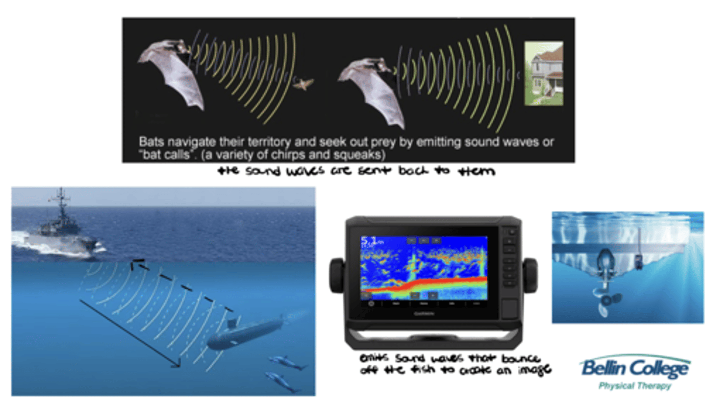 <p>Ultrasound utilizes piezoelectrical crystals to emit sound waves and interpret them as they bounce off the tissues and return to the transducer (i.e., sound waves are sent out --> bounce off objects --> sent back)</p>