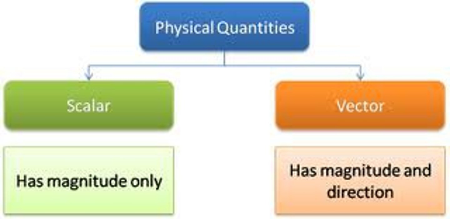 <p>Vectors have magnitude AND direction. Scalars just have magnitude.</p>