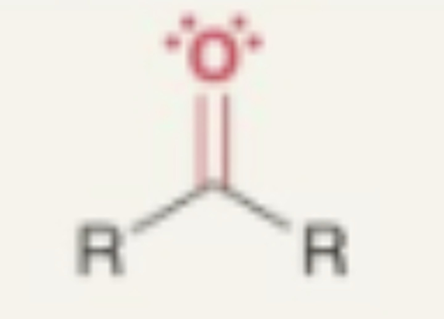 <p>- carbonyl group attached to 2 carbons</p>