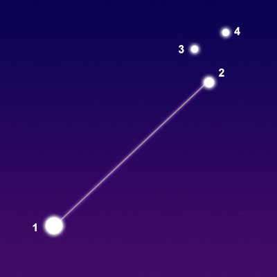 <p>Canis Minor</p>