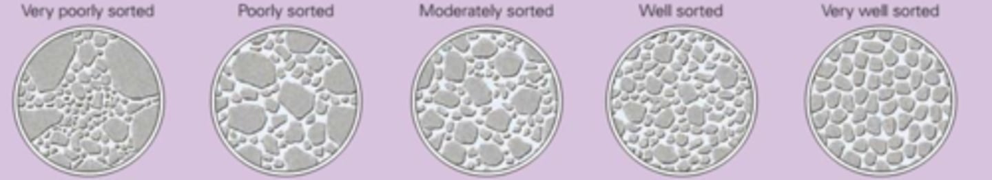 <p>the degree of similarity in particle size in a sedimentary rock</p>