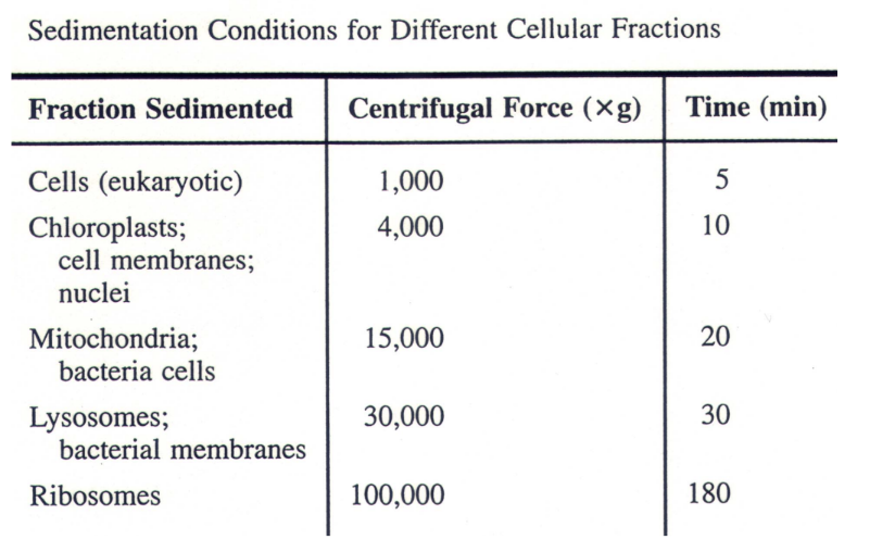 <ol><li><p>harvesting cells(one spin)</p></li><li><p>separating organelles using a series of spins or <strong>cell fractionation</strong></p></li></ol><p></p>