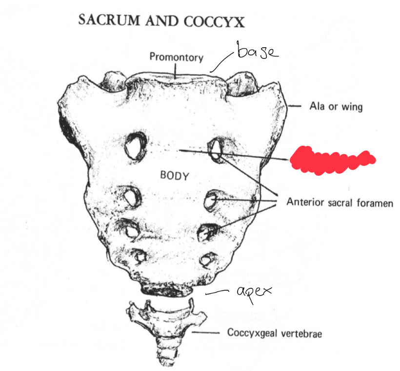 <p>What is this structure?</p>