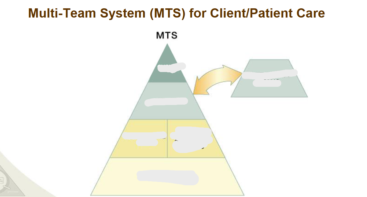 <p>Fill in the blanks </p>