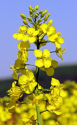 <p></p>