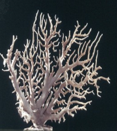 <p>Tree-like or coral-like</p>