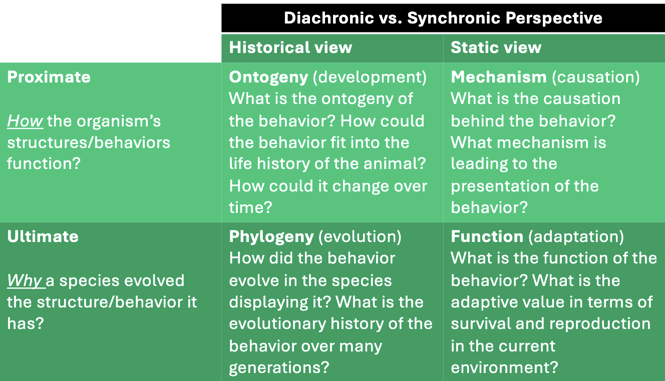 <p>-Proximate — How did it develop</p><p>-Ultimate — Why did it evolve</p>