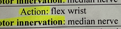 knowt flashcard image