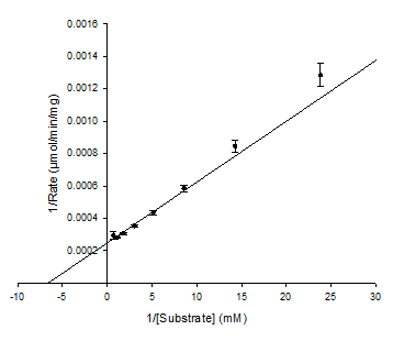<ul><li><p>Plots 1/v against 1/[S]</p></li><li><p><span><span>Y-intercept = 1/</span><em><span>V</span></em><sub><span>max</span></sub></span></p></li><li><p><span><span>X-intercept = -1/</span><em><span>K</span></em><sub><span>m</span></sub></span></p></li><li><p><span><span>Higher precision;</span></span></p></li><li><p><span><span>Lower accuracy;</span></span></p></li><li><p><span><span>Errors are not equal at all points (least squares regression is </span><strong><span>not </span></strong><span>appropriate).</span></span></p></li></ul><p></p>