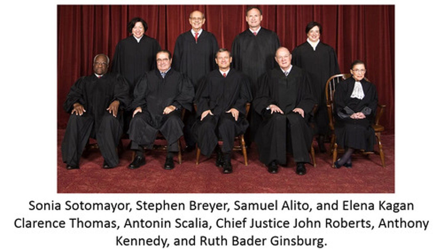 <p>In the Judicial Branch, who has the power to determine if Congressional laws and Presidential actions follow the Constitution?</p>