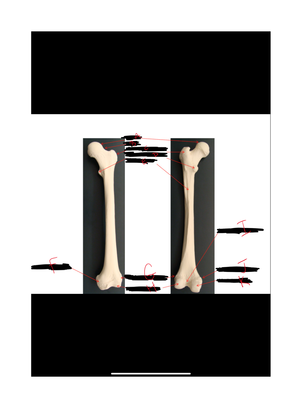 What is D?