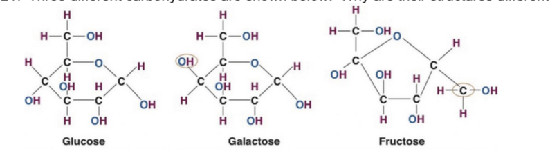 <p>Why are these carbohydrate structures different?</p>