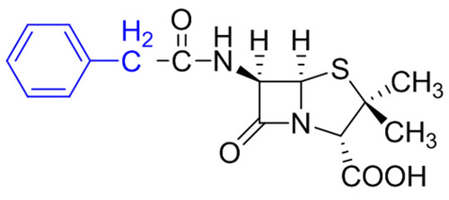 <p>Requires injection</p><p>Beta-lactam ring in the center square</p>
