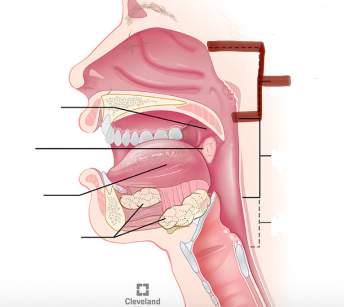<p>Wat word hier aangeduid</p>