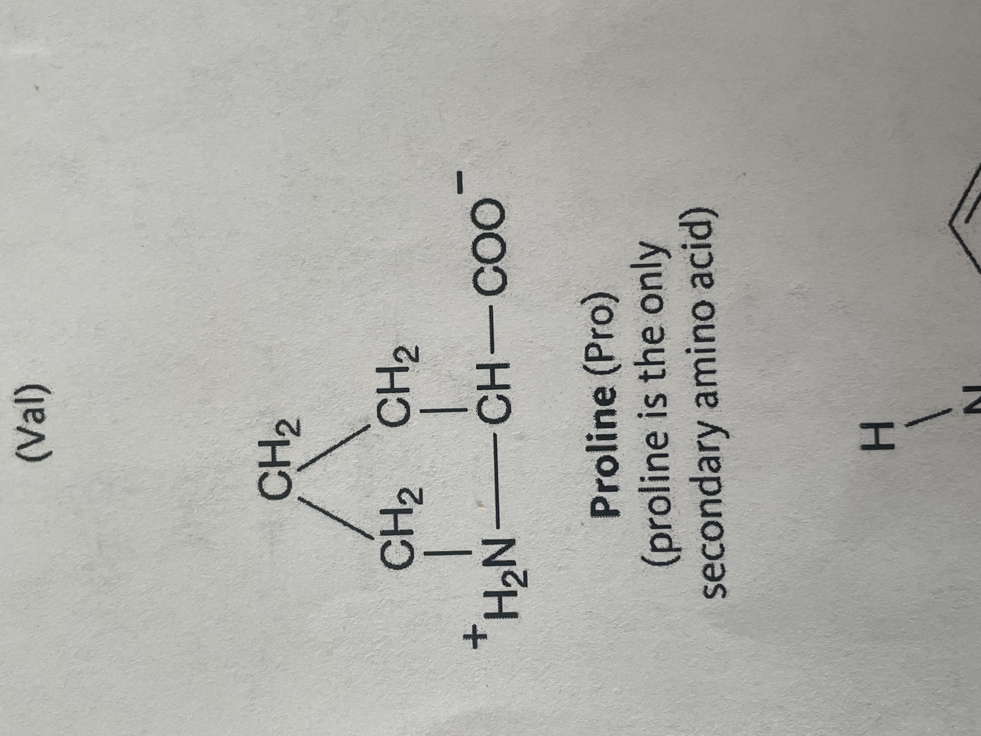 <p>Non-polar (hydrophobic) </p>