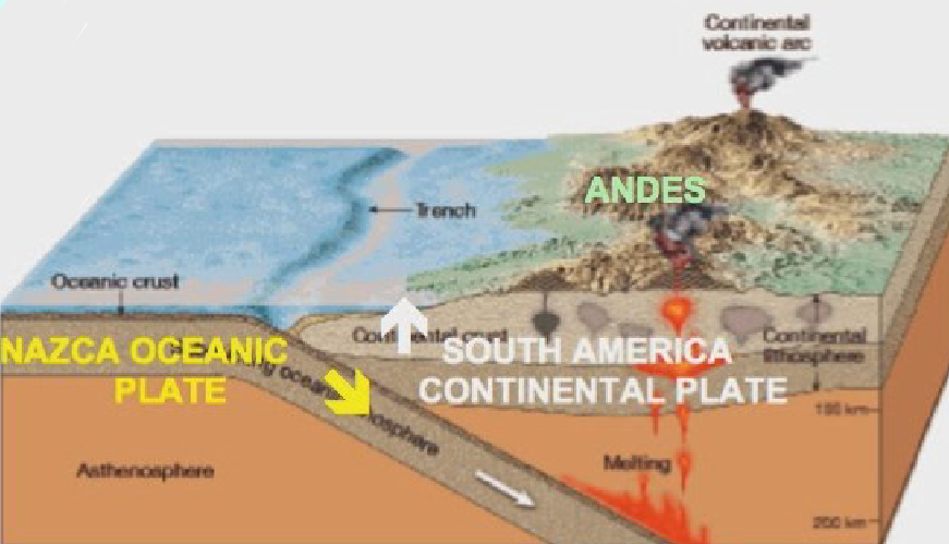 <ul><li><p>create some large volcanic mountain chambers</p></li><li><p>volcanic material tends to be felsic (partial melting of continental crust)</p></li><li><p>lower angle of descending slap correlates to wider mountain range</p></li></ul><p></p>