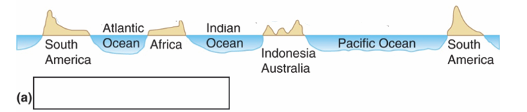 <p>Cross-sections of Southern Hemisphere atmospheric circulation</p>