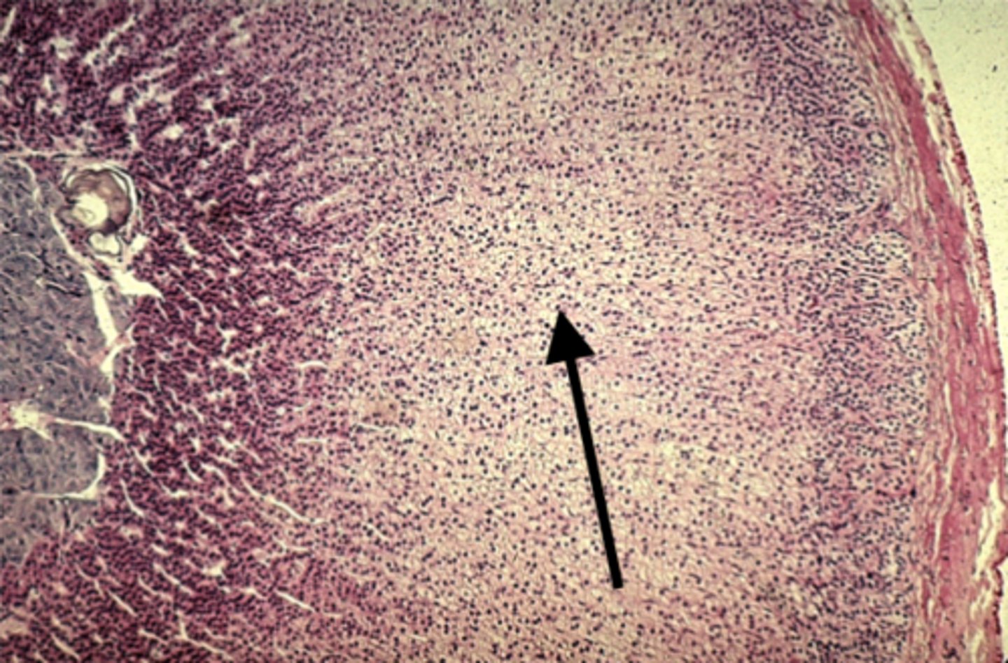 <p>what is this pointing to?</p>