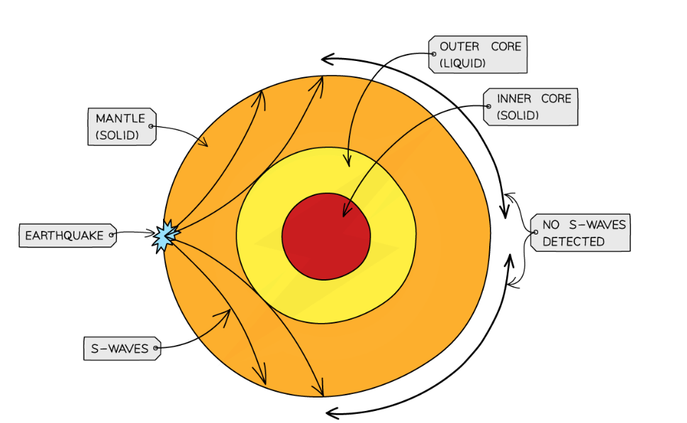 <ul><li><p>Secondary waves- slower than P waves so felt 2nd in an earthquake</p></li><li><p>transverse waves caused by earthquakes</p></li><li><p>only travels through solids</p></li><li><p>can’t pass through liquid outer core, so not detected on opposite side of earth’s surface to quake</p></li></ul>