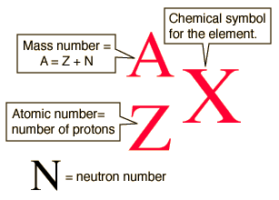 <p>- The total number of protons and neutrons in an atom's nucleus</p>