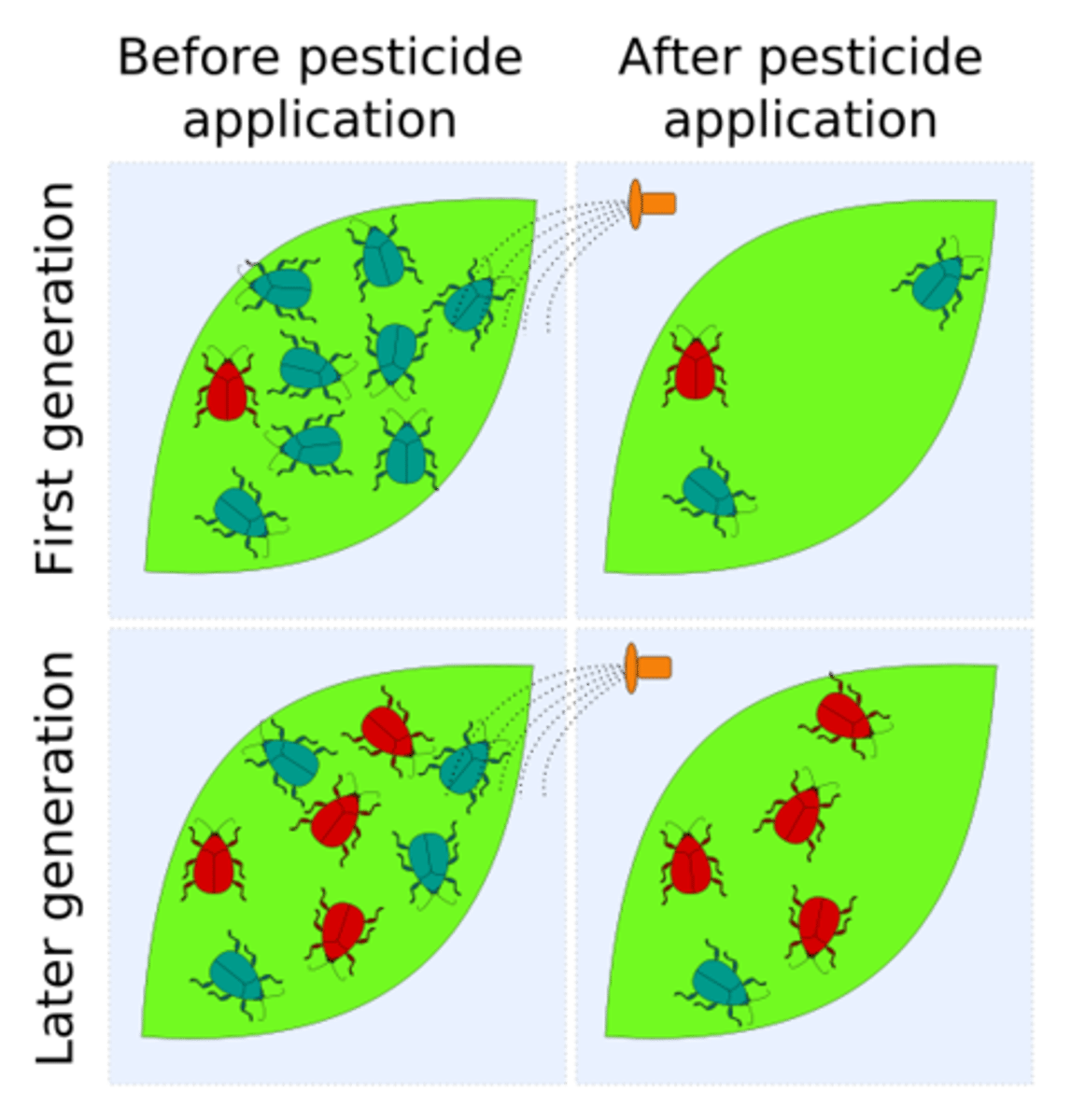 <p>Decreased susceptibility of a pest population to a pesticide that was previously effective at controlling the pest.</p>