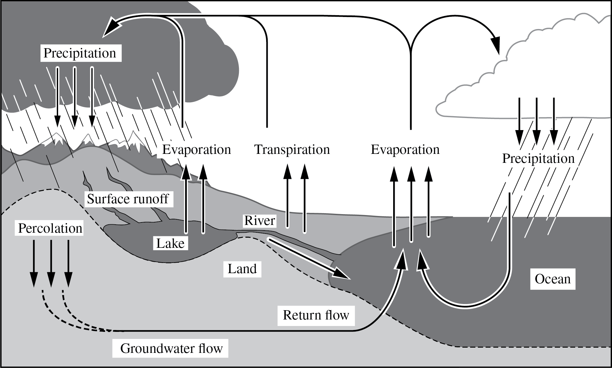 <p>The diagram below shows a model of the global movement of water in the hydrologic cycle.</p><p>Based on the diagram, which of the following statements about the hydrologic cycle is true?</p><p><strong>A. </strong>Water from the ocean evaporates and condenses in the atmosphere.</p><p><strong>B. </strong>Surface runoff is the primary recharge of groundwater.</p><p><strong>C. </strong>Infiltration of water into the ground prevents water from returning to the oceanic reservoir.</p><p><strong>D. </strong>Evapotranspiration from plants decreases atmospheric water vapor.</p>