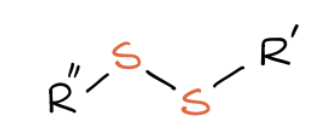 <p>What functional group is this?</p>