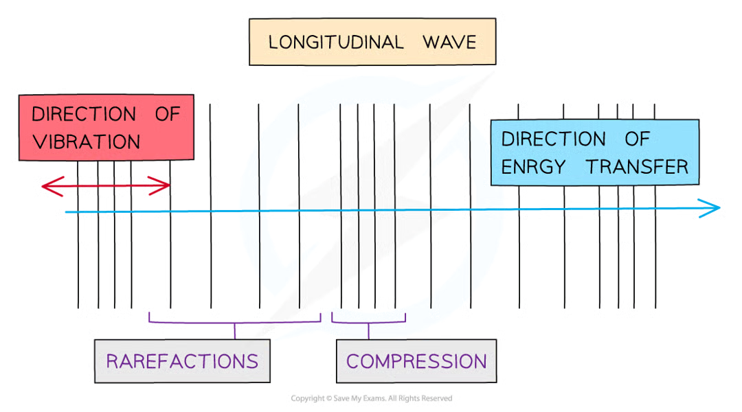 <p>drawn as several lines to show they’re moving parallel to the direction of energy transfer</p><p>close together lines represent compressions, far apart lines represent rarefactions</p>