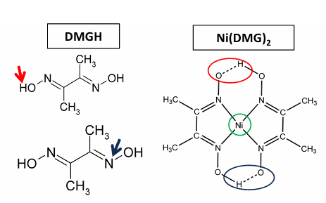 <ul><li><p>déprotoner DMG</p></li><li><p>formation du complexe à 2 DMG + complexant le Ni.</p></li></ul><p>nickel (diméthylglyoxime)<sub>2</sub></p><p>et SAA dans four à graphite</p>