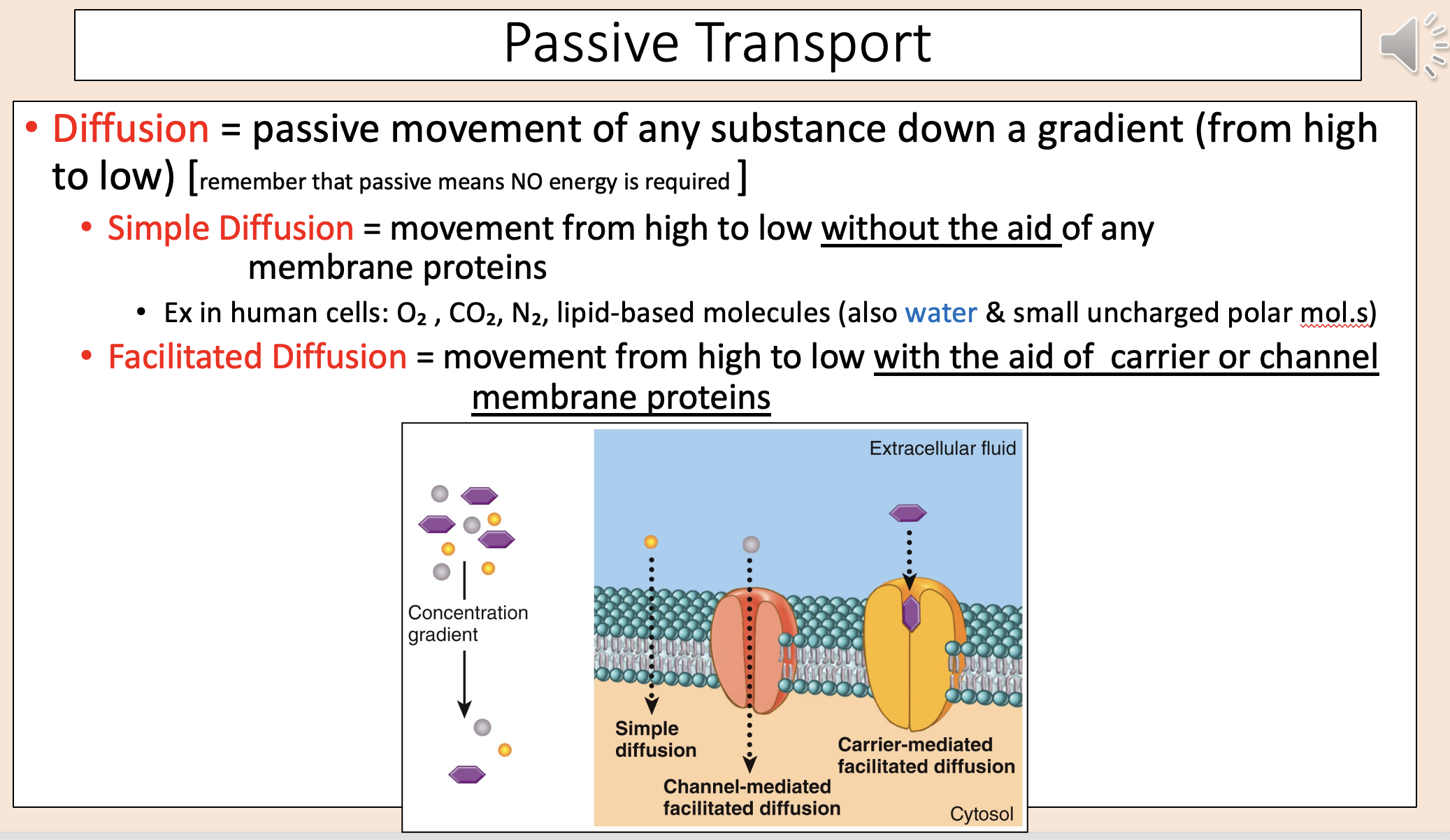 <p><span><span>Movement from high to low without the aid of any membrane proteins.</span></span></p>